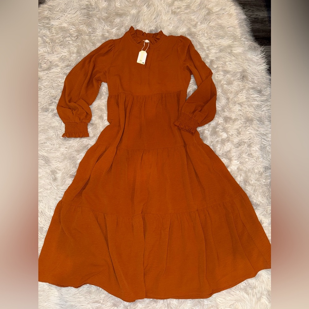 Nwt JODIFL Rust Ruffled A-Line Dress with Bishop Sleeves Size small